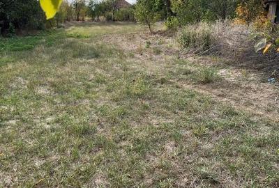 Casă cu Teren 800 Mp în Hodoni - 5