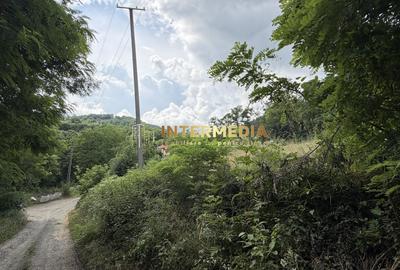 Teren Construcții intravilan de 1257 mp, în Meteș - 7