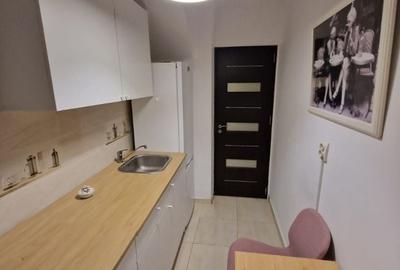 Garsonieră decomandată în Valea Ialomiței - 13