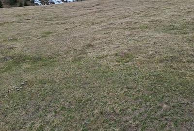 Teren de 7800 mp, în Măguri - 3