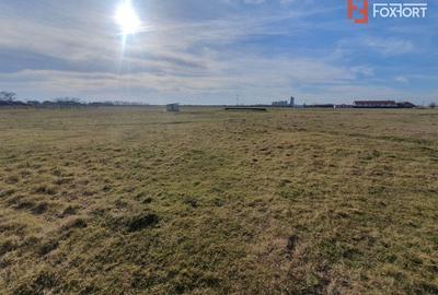 Teren Construcții intravilan de 6400 mp, în Pădureni (Jebel) - 10