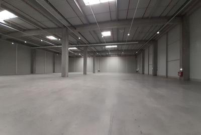 Spațiu industrial, de 1,700 mp, în Theodor Pallady - 2