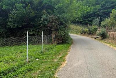 Teren de 771 mp, în Teișani