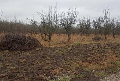 Teren Construcții intravilan de 455 mp, în Periferie - 3