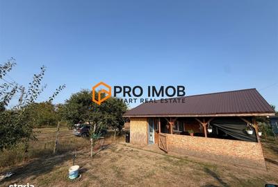 Spațiu comercial, în Cândești