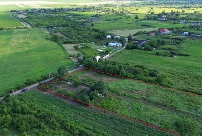 Teren Construcții intravilan de 5555 mp, în Urlați - 5
