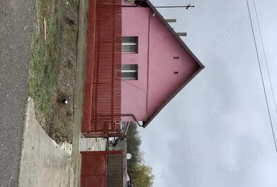 Casă cu 3 camere cu Teren 2180 Mp în Mișca - 2