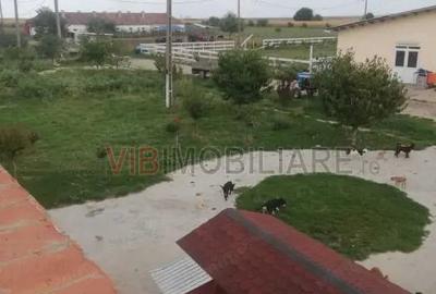 Teren de 95000 mp, în Cerneteaz - 2