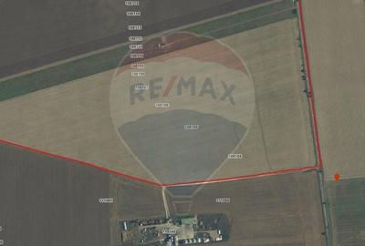 Teren agricol extravilan de 60000 mp, în Săcele - 5