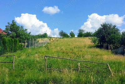 Teren în Racșa - 3