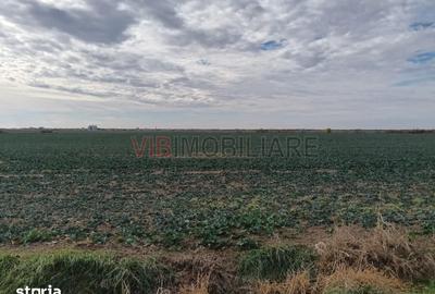 Teren de 13500000 mp, în Central