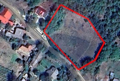 Teren de 2853 mp, în Urechești - 5