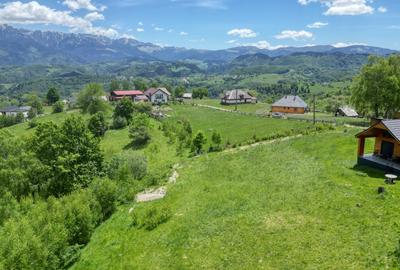 Teren Construcții intravilan de 1400 mp, în Moieciu - 11