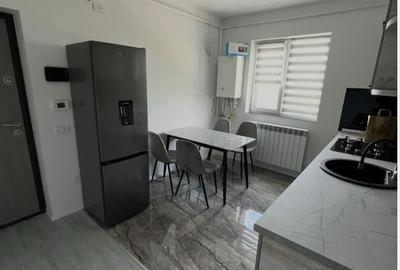 Garsonieră în Ișalnița - 6