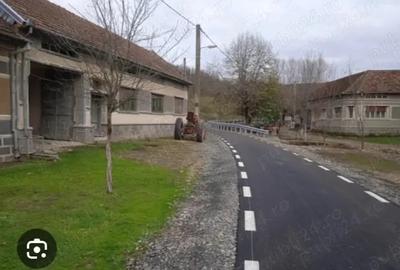 Casă cu 3 camere cu Teren 6627 Mp în Tincova - 4