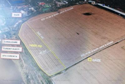 Teren Construcții intravilan de 14010 mp, în Berceni - 2