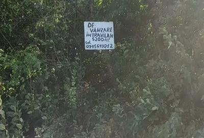 Teren de 5200 mp, în Central