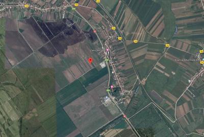 Teren de 7985 mp, în Beharca - 6