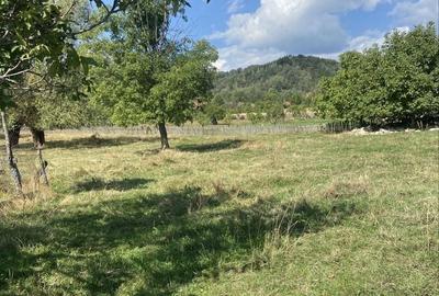 Teren de 3250 mp, în Baia de Fier - 2