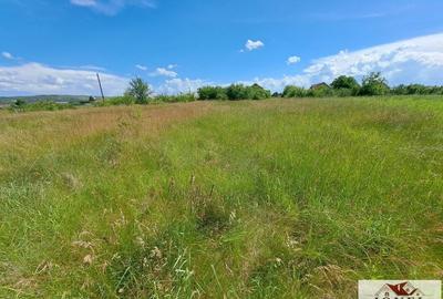 Teren Construcții intravilan de 500 mp, în Teiuș - 3
