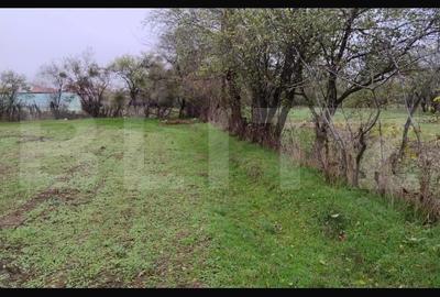 Teren Construcții intravilan de 3000 mp, în Găești