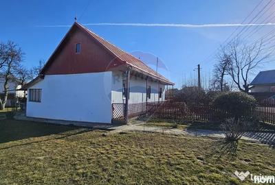 Casă cu 3 camere cu Teren 4900 Mp în Central