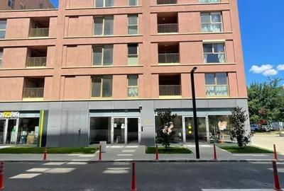 Apartament cu 2 camere în Jiului