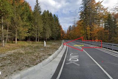 Teren de 9000 mp, în Davidești