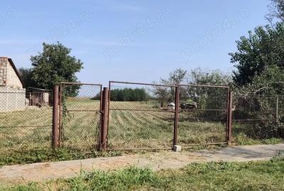 Teren de 2700 mp, în Belinț - 1