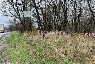 Teren de 6500 mp, în Morărești