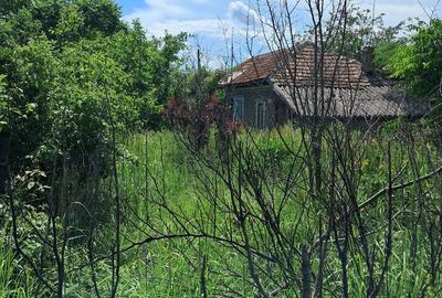 Casă cu 3 camere cu Teren 1150 Mp în Tămădău Mare - 2