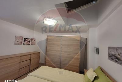 Apartament cu 2 camere în 6 Vânători - 14