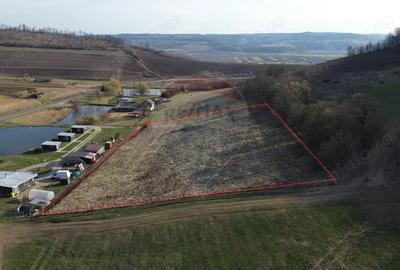 Teren de 7000 mp, în Hoghilag - 14