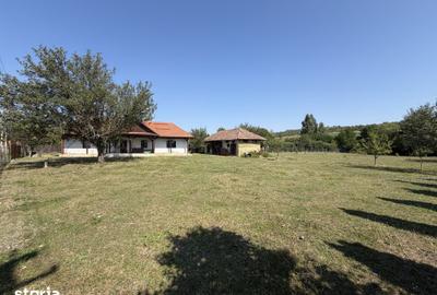 Casă cu 3 camere cu Teren 2900 Mp în Dobrin