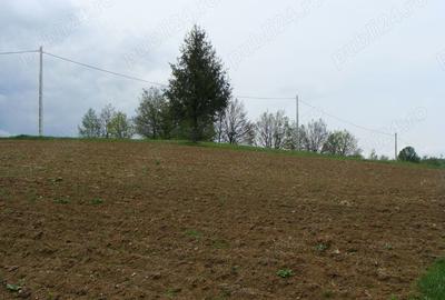 Teren de 11600 mp, în Poiana Mărului - 3
