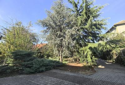 Casă cu Teren 1150 Mp în Central
