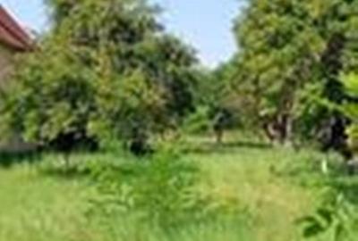 Teren Construcții intravilan de 2030 mp, în Tărlungeni - 4