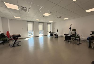 Spațiu industrial, de 3,624 mp, în Theodor Pallady - 15