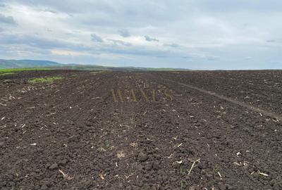 Teren agricol extravilan de 10200 mp, în Țagu - 1