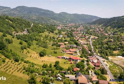 Spațiu comercial, în Moieciu - 7