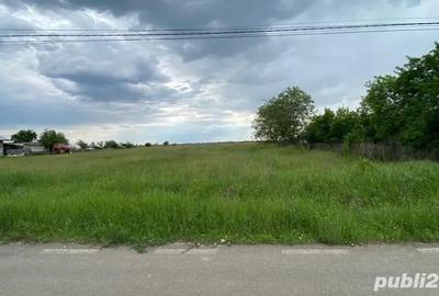 Teren de 7000 mp, în Bâldana - 3