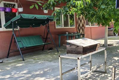 Casă cu 3 camere în Mircea-Vodă - 2