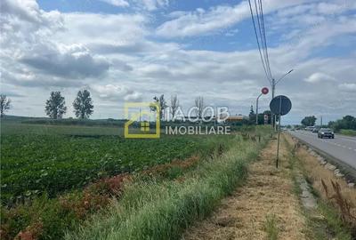 Teren intravilan de 8333 mp, în Secu - 5