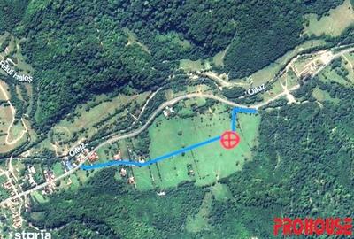 Teren de 5370 mp, în Oituz