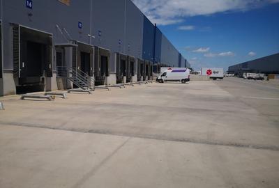 Spațiu industrial, de 800 mp, în Mogoșoaia - 2