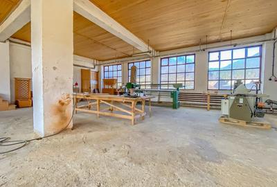 Spațiu industrial, de 1,473 mp, în Tulgheș - 17