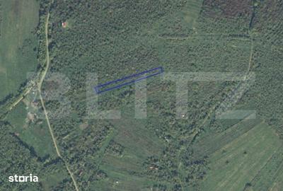 Teren de 2697 mp, în Ardud - 1