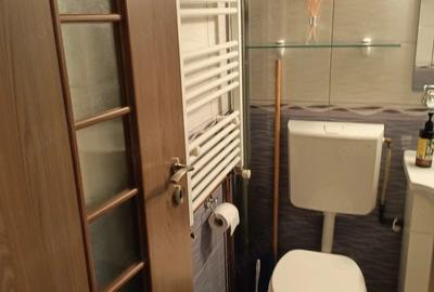 Garsonieră semidecomandată în Lunei - 9