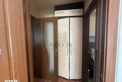 Apartament cu 2 camere semidecomandat, mobilat în Brazda lui Novac - 2