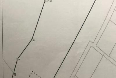 Teren agricol extravilan de 10000 mp, în Fălticeni - 3